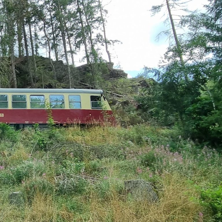 Ausflugsziele Wipperliese